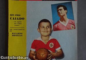 imagem_1