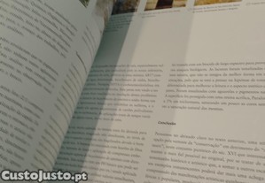 imagem_6