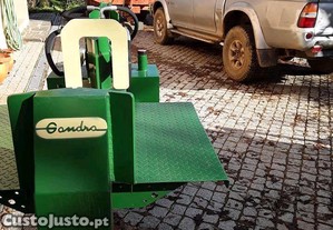 imagem_1