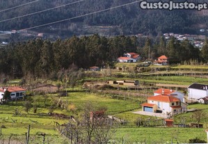 imagem_8