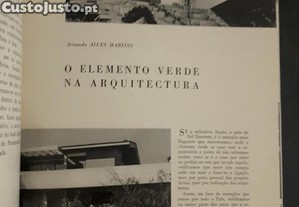 imagem_8