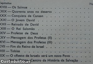 imagem_8