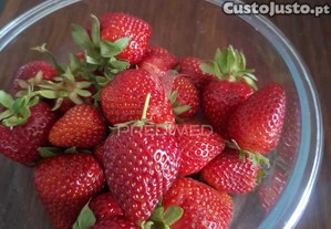 imagem_35