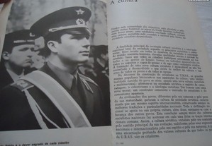 imagem_7