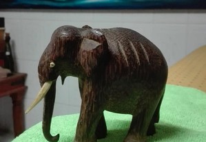 Elefante em madeira exótica