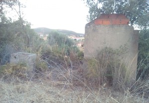 imagem_7