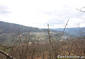 imagem_10