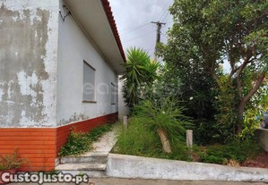 imagem_23