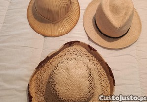 imagem_6