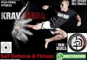 Private Self-Defense and Krav Maga classes at home