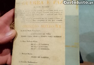 imagem_7