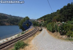 imagem_29
