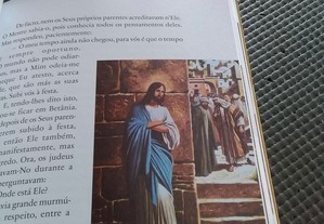 imagem_5