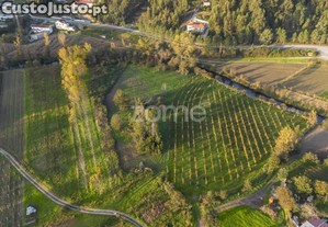 Godes - Terreno Agrícola À Beira Rio C/ 4.819...
