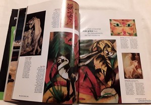 imagem_6