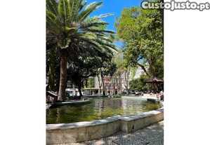imagem_17