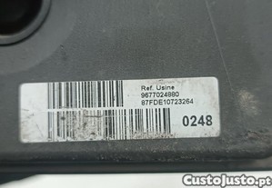 imagem_3