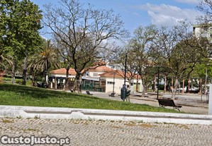 imagem_26