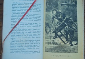 imagem_6