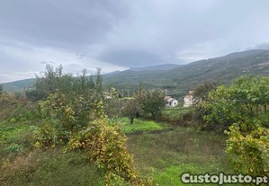 Terreno em Cortes do Meio - Covilh