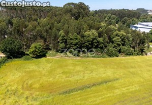 Terreno Rústico C/ 37.240M2 - Custió - Leça Do...