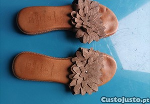 imagem_4