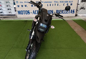 Moto Sportsman 2000w