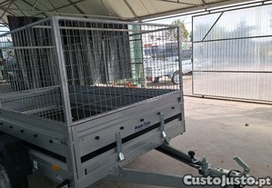 imagem_11