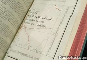 imagem_8