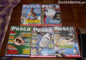 imagem_7