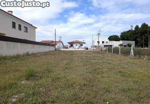 imagem_12