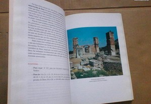imagem_7