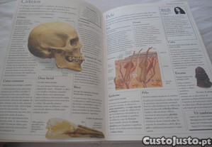 imagem_8
