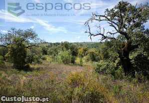 Terreno Próximo Do Rio Ponsul - Lentiscais