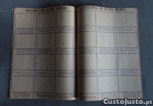 imagem_4