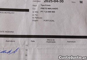 imagem_6