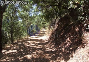 imagem_25
