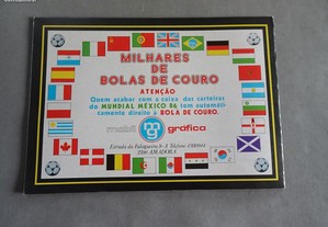 imagem_3
