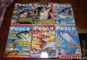 imagem_6