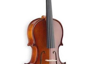 Violino 4/4 Stagg VN-4/4 + arco