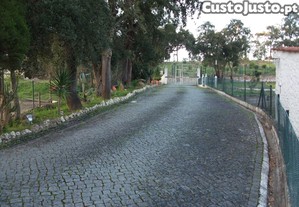 imagem_11