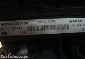 imagem_5