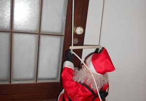 imagem_7