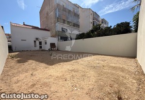 imagem_29