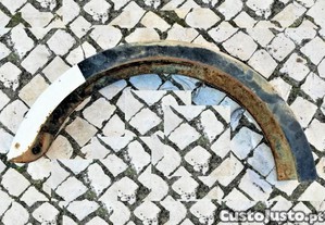 imagem_5