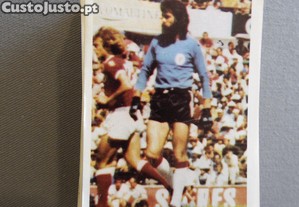 imagem_1