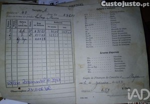 imagem_18