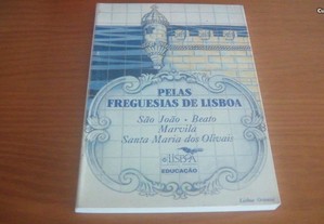 Pelas Freguesias de Lisboa de Carlos Consiglieri/ Filomena Ribeiro/ José Manuel Vargas/ Maria Abel
