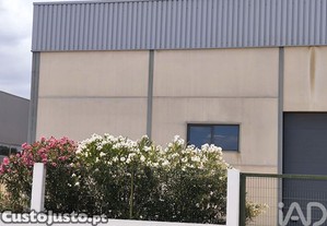 imagem_15