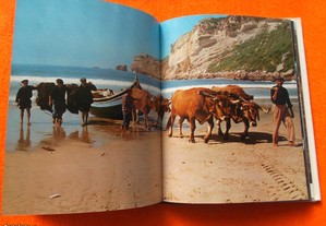 imagem_4